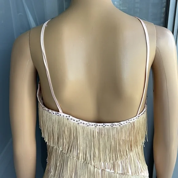 Vintage Fringe Flapper Girl Dress - Picture 7 of 14